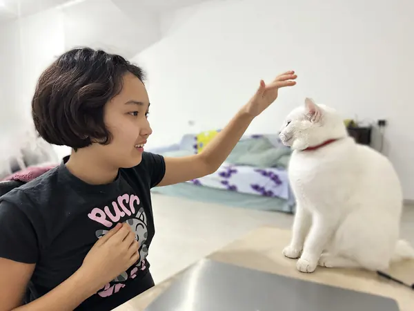 musya_cat_v2_w600_ar43
